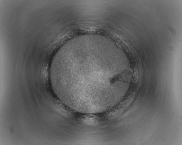 X0000115190612200911121823