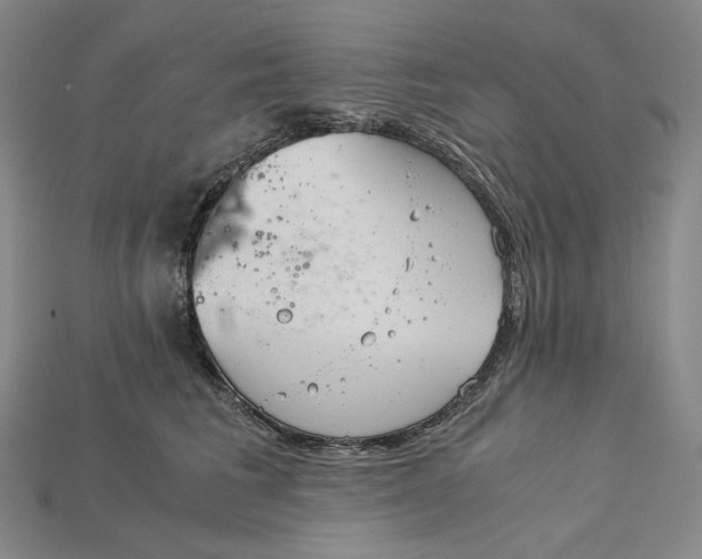 X0000115190613200911121823