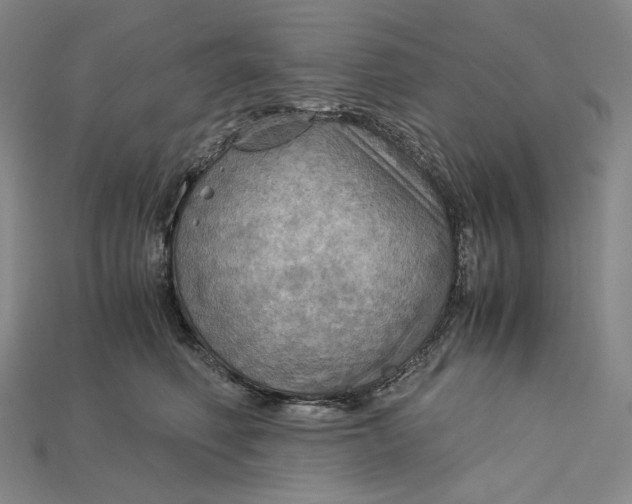 X0000115190614200911121823
