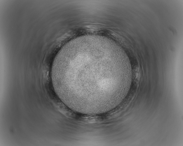 X0000115190615200911121823