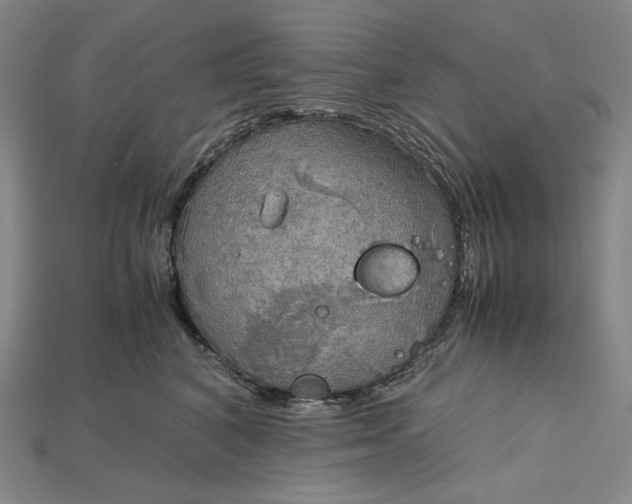 X0000115190616200911121823