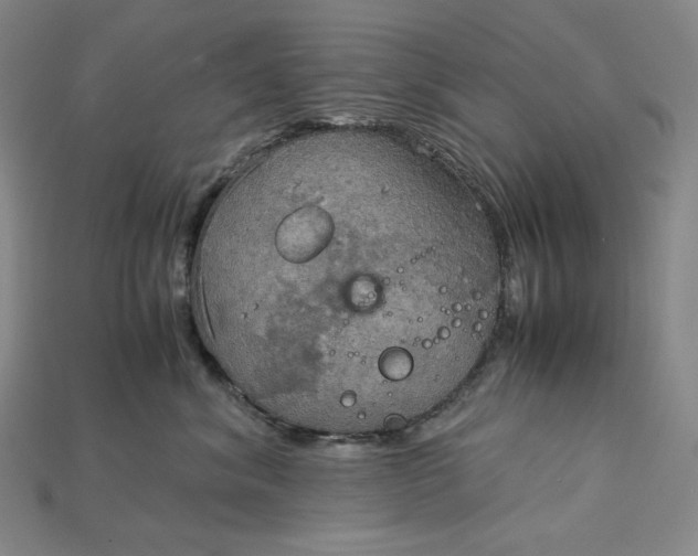 X0000115190620200911121823