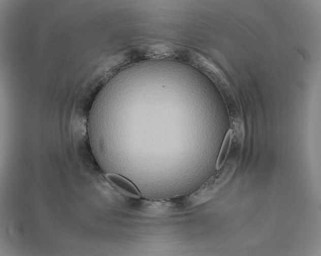 X0000115190621200911121823