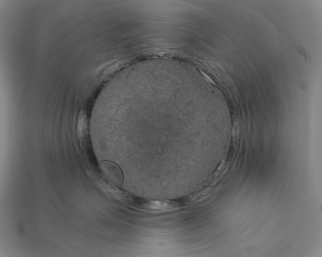 X0000115190623200911121823