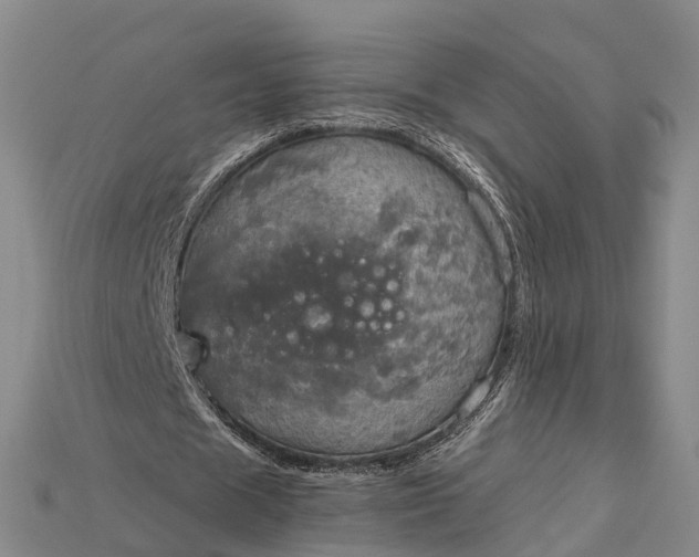 X0000115190625200911121822