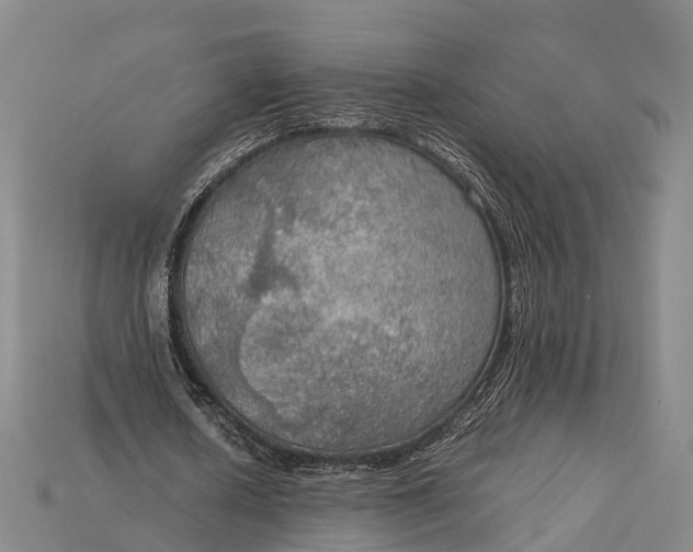X0000115190626200911121822