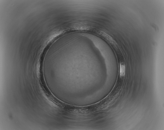 X0000115190627200911121822