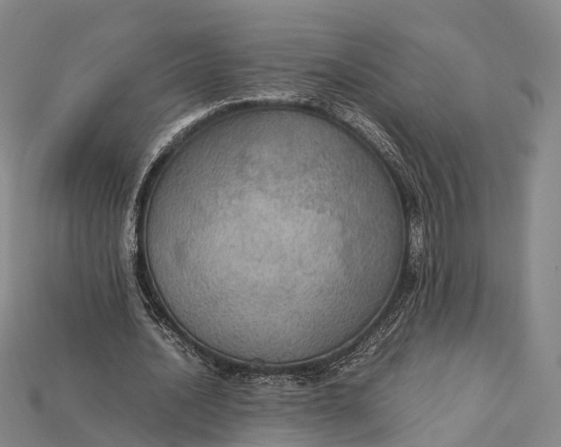 X0000115190628200911121822
