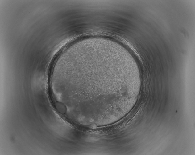 X0000115190629200911121822