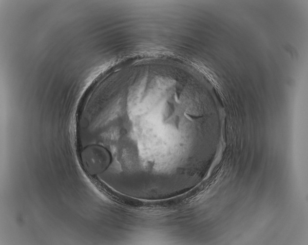 X0000115190630200911121822