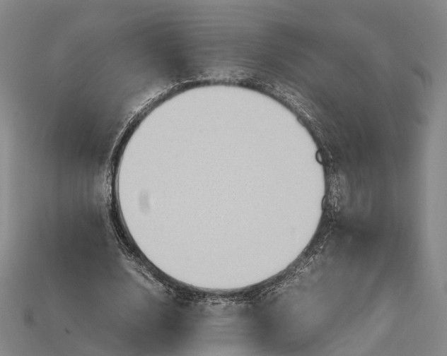 X0000115190632200911121822