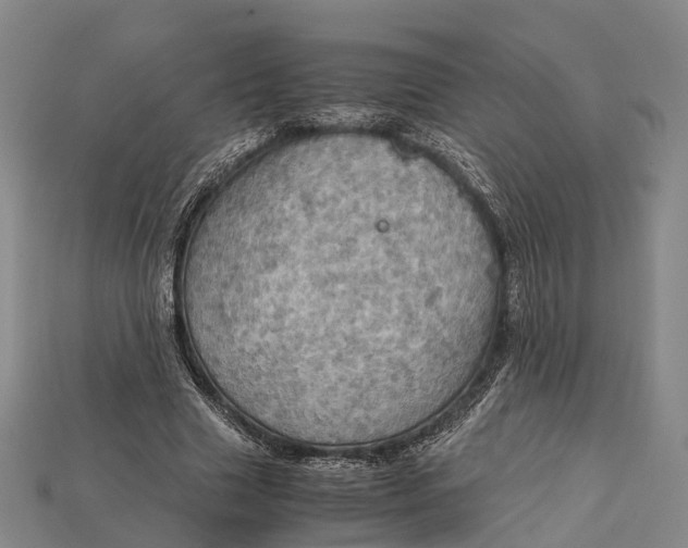 X0000115190633200911121822