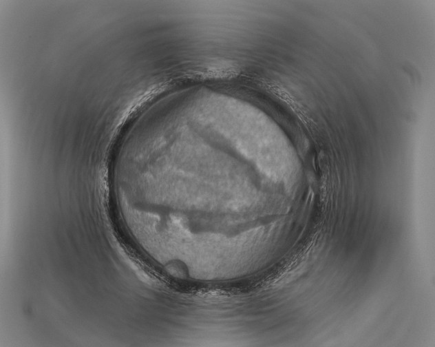 X0000115190634200911121822