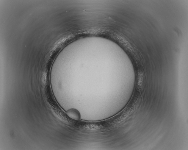 X0000115190636200911121822