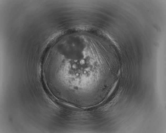 X0000115190637200911121822