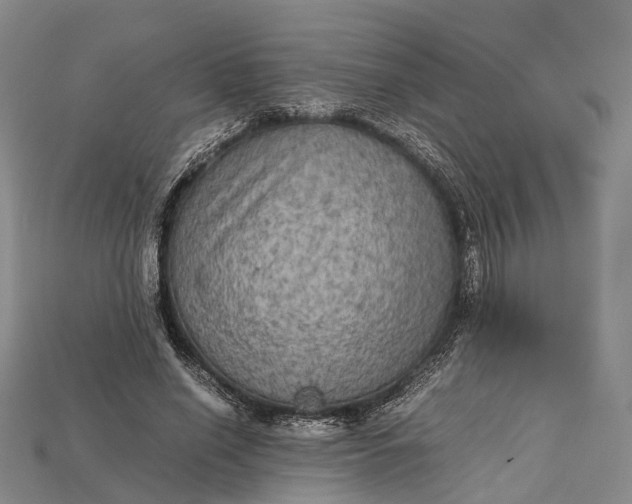X0000115190638200911121822