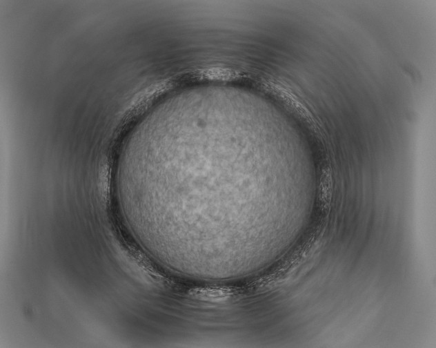 X0000115190639200911121822