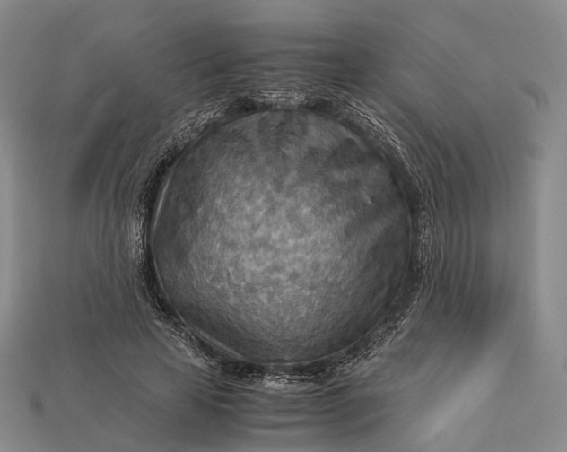 X0000115190641200911121822
