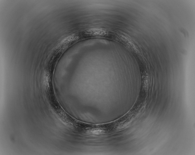 X0000115190643200911121823