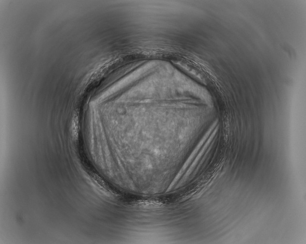 X0000115190644200911121823