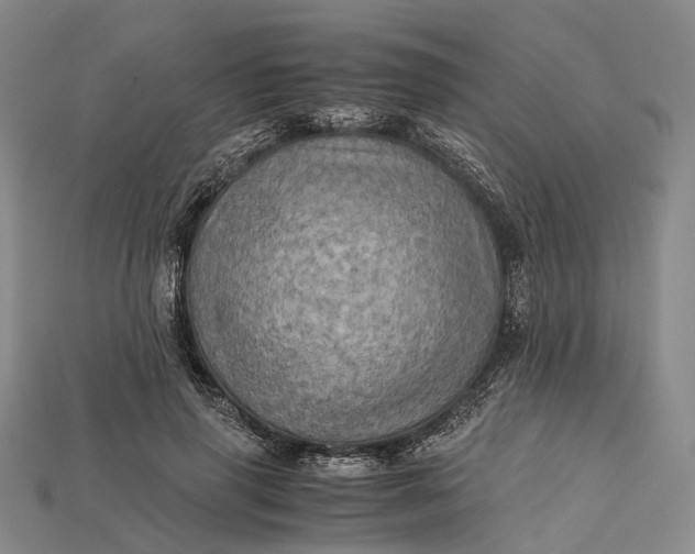 X0000115190645200911121823