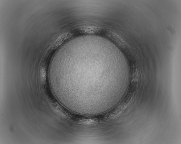 X0000115190646200911121823