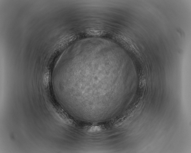 X0000115190647200911121823