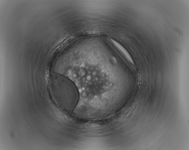 X0000115190648200911121823