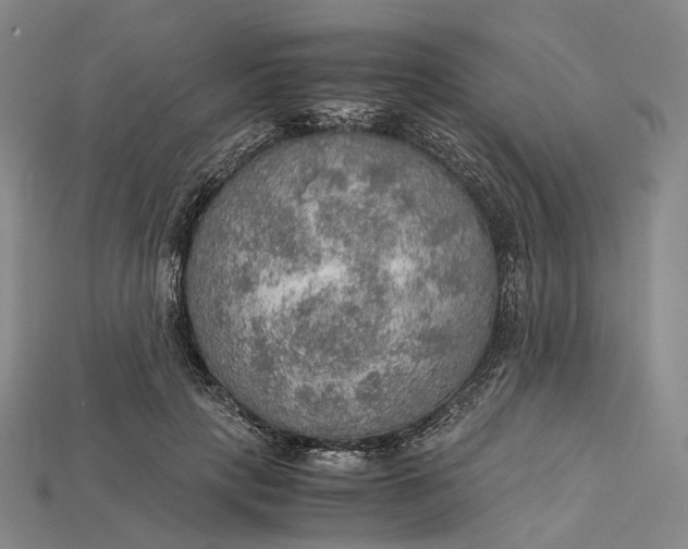 X0000115190649200911121823