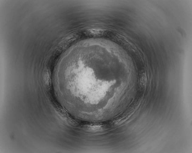 X0000115190651200911121823