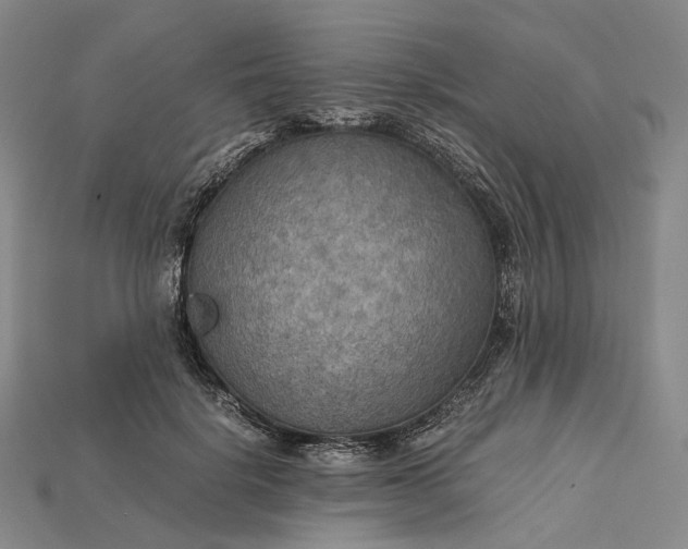 X0000115190652200911121823