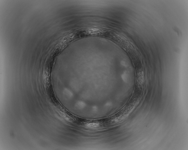 X0000115190653200911121823