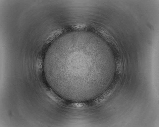 X0000115190654200911121823