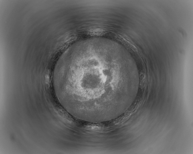 X0000115190655200911121823