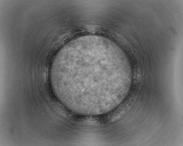 X0000115190656200911121823
