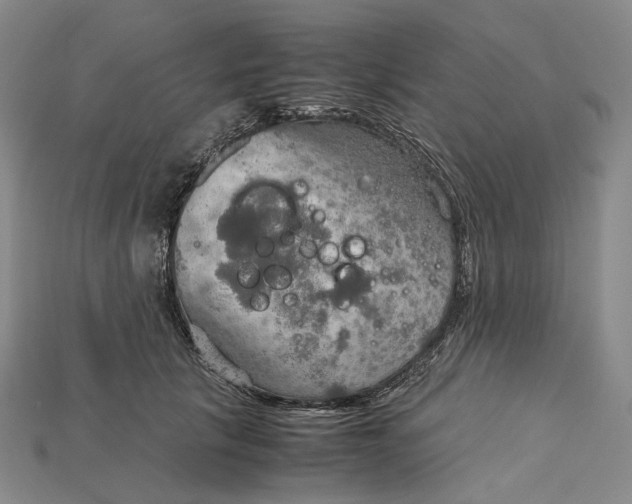 X0000115190657200911121823