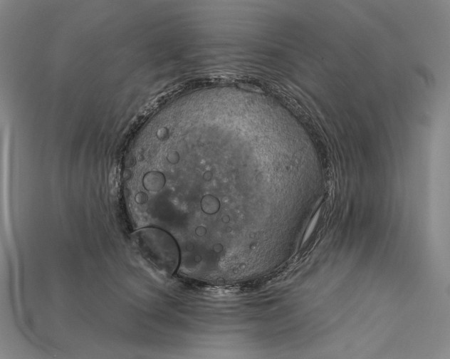 X0000115190660200911121823