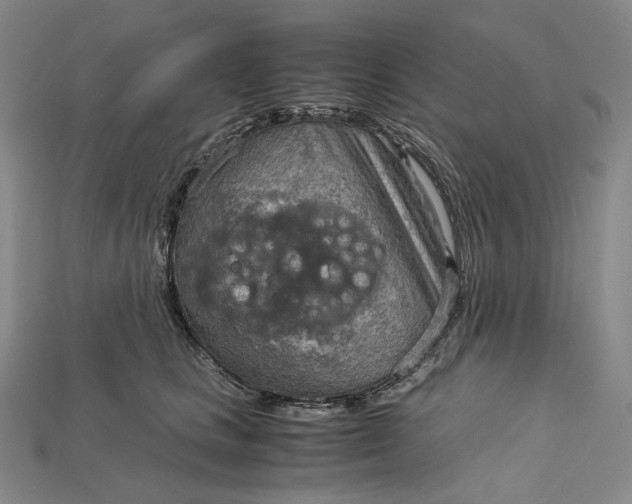 X0000115190661200911121823