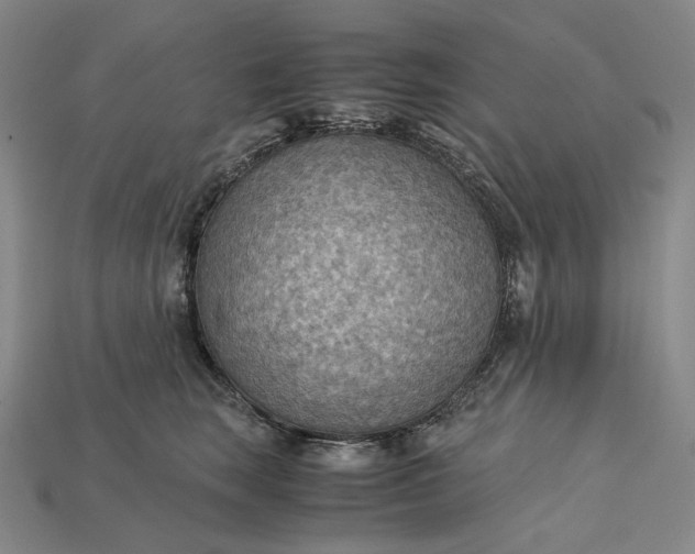 X0000115190663200911121823