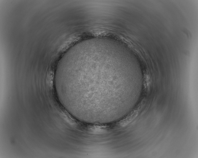 X0000115190664200911121823