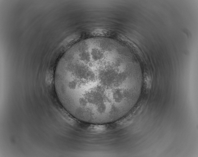 X0000115190665200911121823
