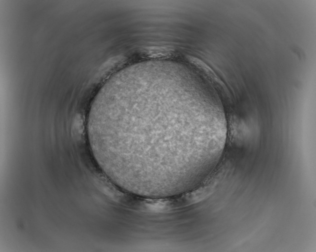 X0000115190667200911121823