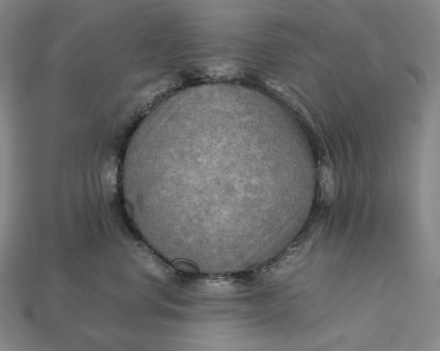 X0000115190668200911121823