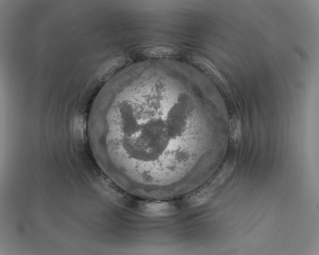 X0000115190669200911121823