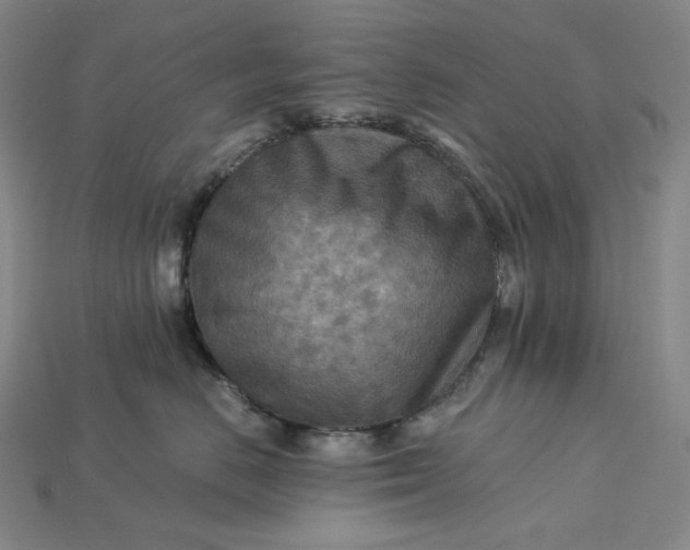 X0000115190670200911121823