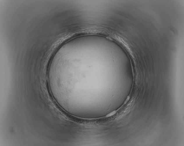 X0000115190673200911121822