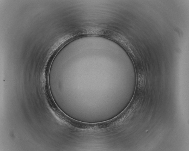 X0000115190674200911121822