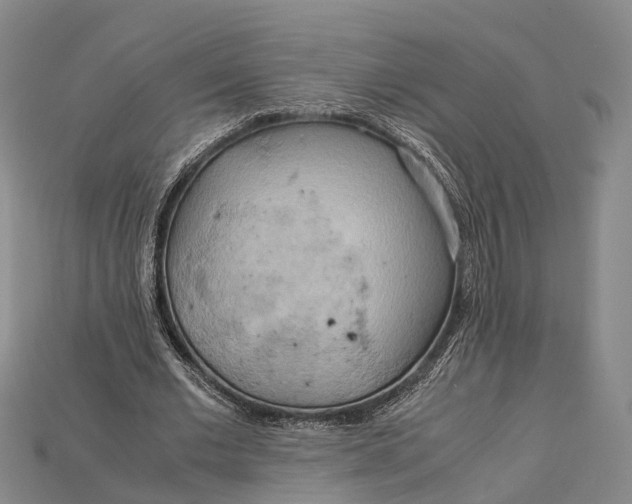 X0000115190677200911121822