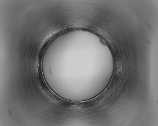 X0000115190680200911121822