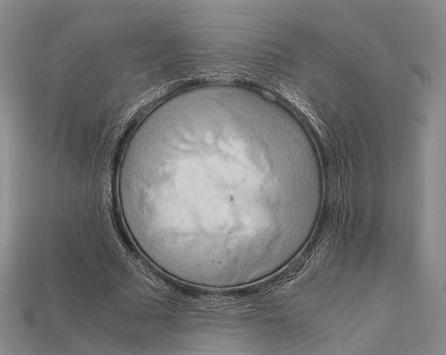 X0000115190681200911121822